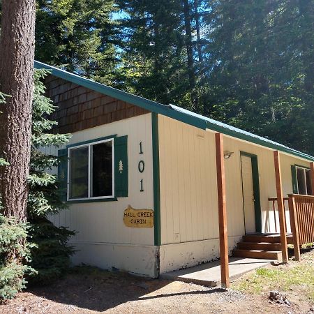 Hall Creek Cabin Packwood Exterior foto