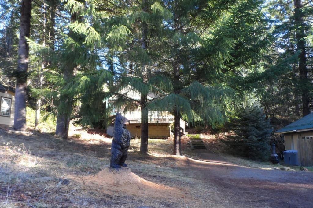 Hall Creek Cabin Packwood Exterior foto